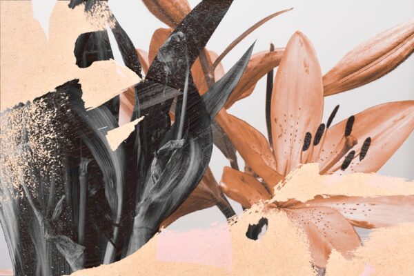 Papier peint Lys flous