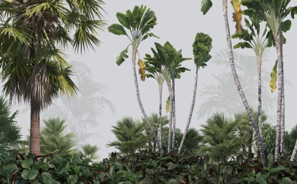 Papier peint Vert tropical et brouillard