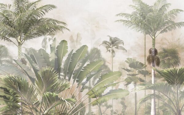 Papier peint Jungle verte dans le brouillard