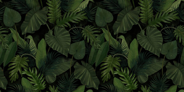 Papier peint Feuilles vertes