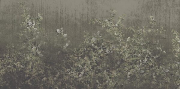 Papier peint Lierre vert sur fond sombre