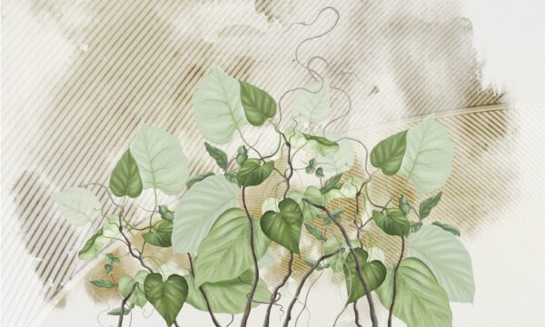 Papier peint Lierre vert