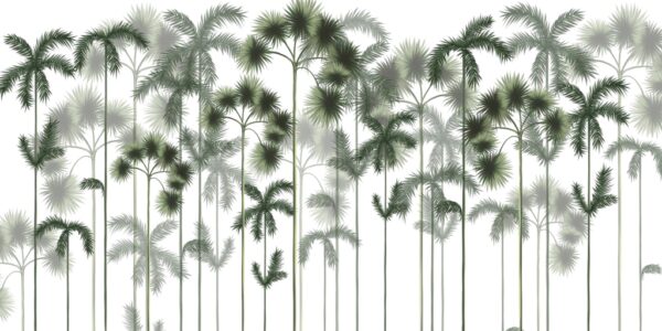 Papier peint Forêt de palmiers verts