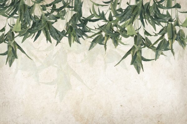 Papier peint Plafond vert