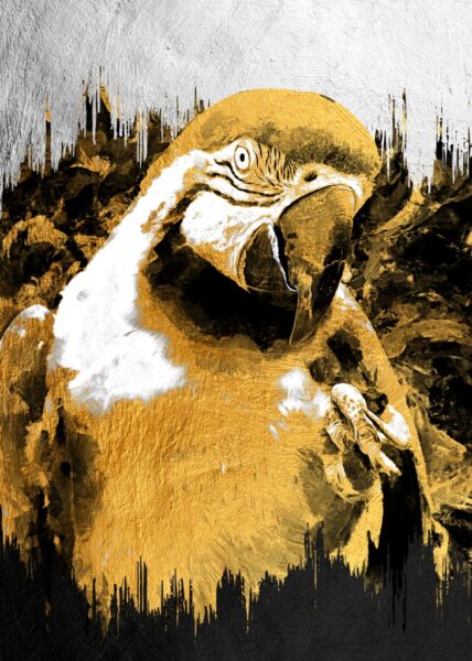 Papier peint Perroquet jaune