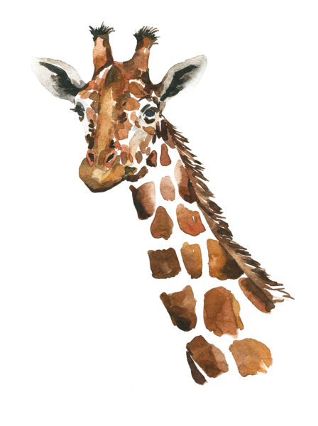 Papier peint Girafe