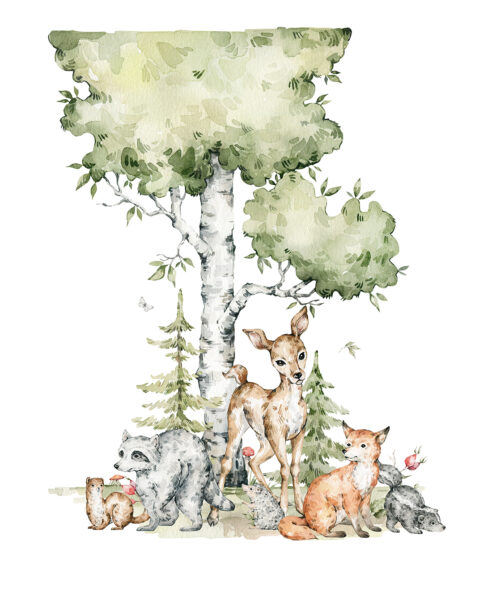 Papier peint Pack Forêt