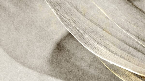 Papier peint Une touche de vent