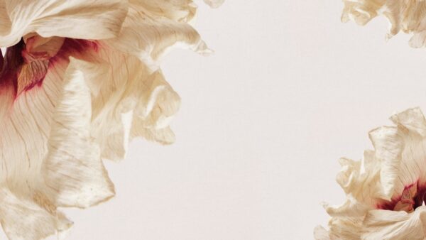 Papier peint Pétales ondulants