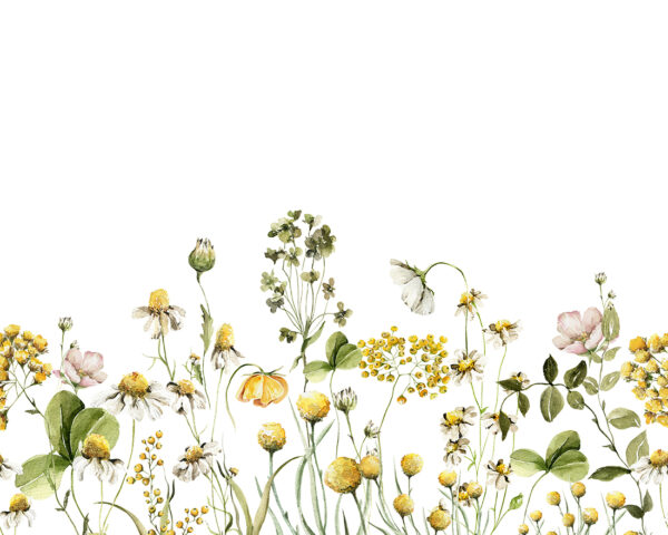 Papier peint Liberté des fleurs