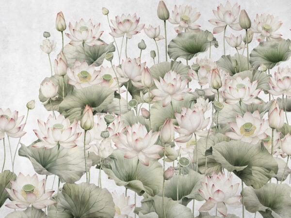 Papier peint Nénuphars