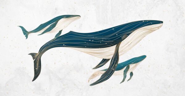 Papier peint Le voyage des baleines