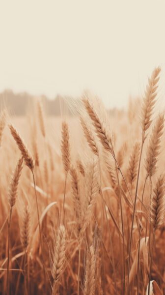 Papier peint Murmure d'automne des grains