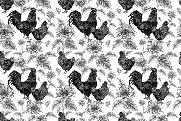Papier peint Poulailler