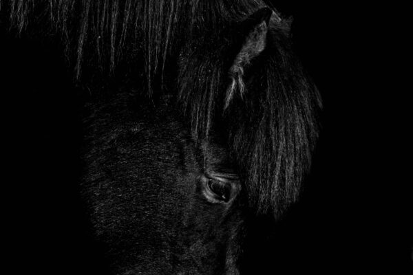 Papier peint Le silence de la nuit