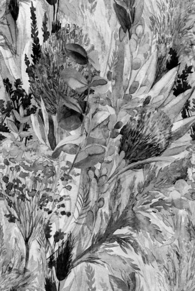 Papier peint Ombres de la nature