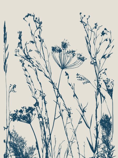 Papier peint Croquis de prairie mystérieuse