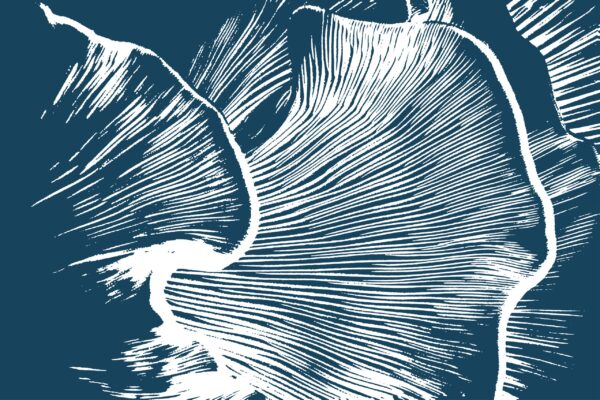 Papier peint Couronne de la nature