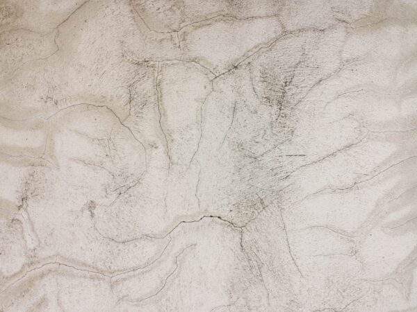 Papier peint Traces des éléments