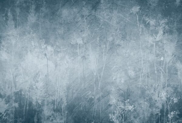 Papier peint Crépuscule silencieux