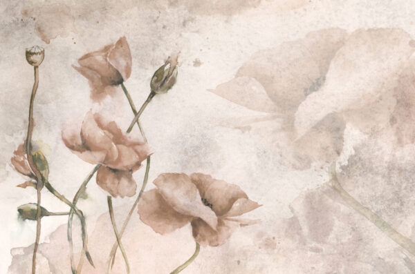 Papier peint La délicatesse des pavots des champs