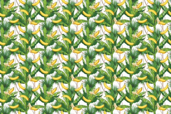 Papier peint Une jungle pleine de bananes