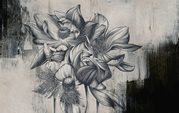 Papier peint Le Silence des Lotus