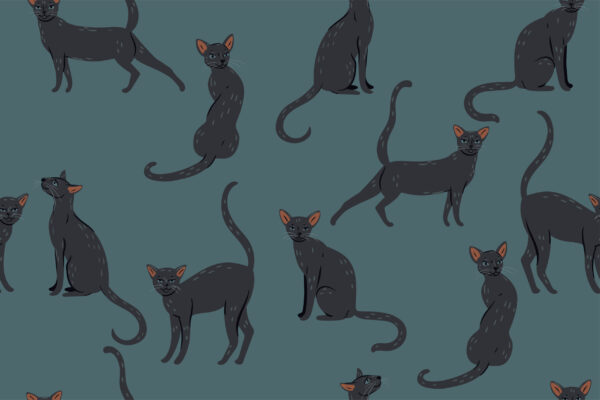 Papier peint Silhouettes de chats