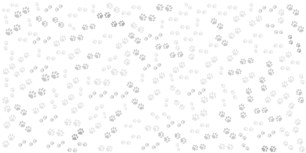 Papier peint Empreintes de pattes