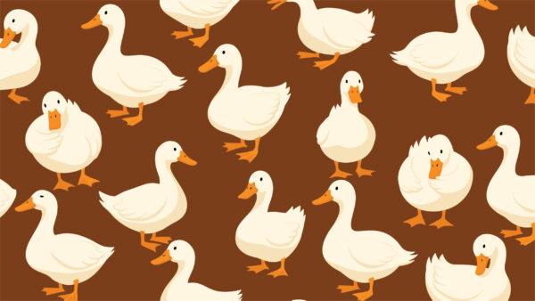 Papier peint Canards sur le bronze