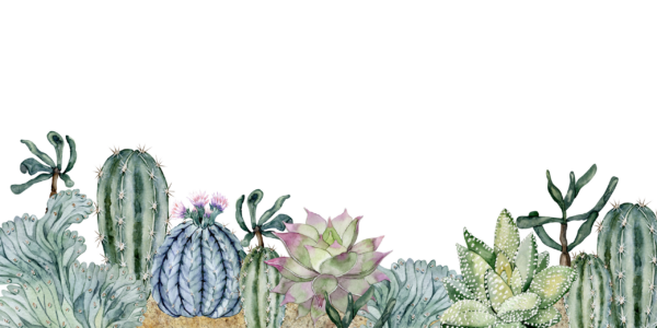 Papier peint Cactus aquarelle