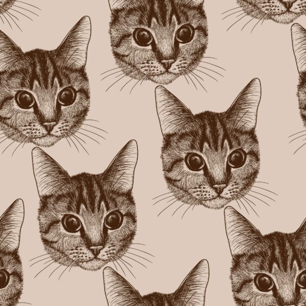 Papier peint Portraits de chats