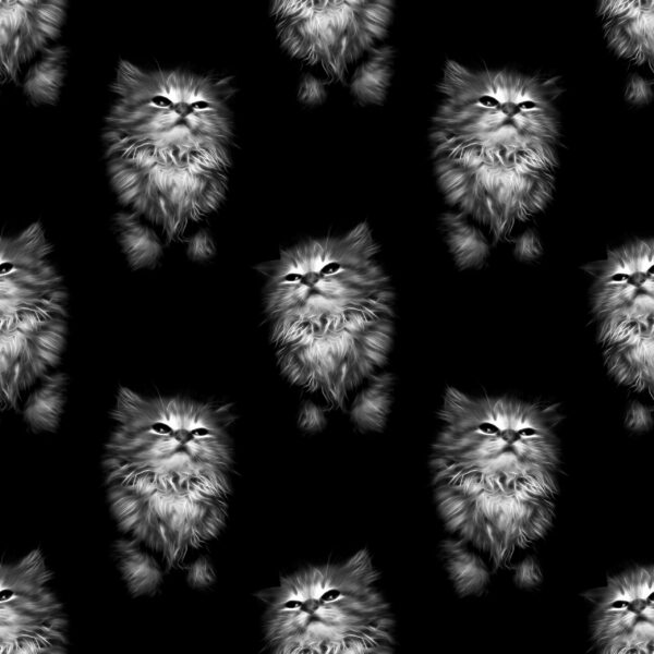 Papier peint Chats dans la lueur