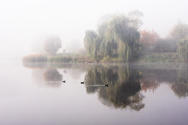 Papier peint Lac Brumeux