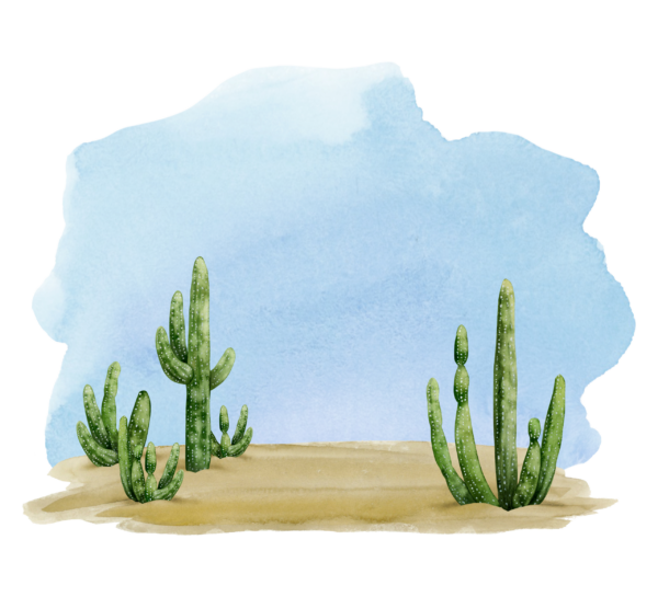 Papier peint Cactus sous le ciel bleu