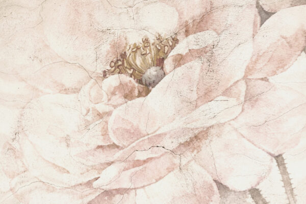 Papier peint Fleur coincée dans le mur