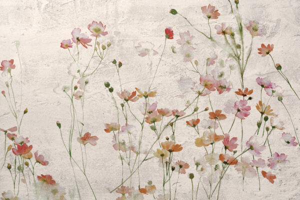 Papier peint Fleurs sauvages sur plâtre