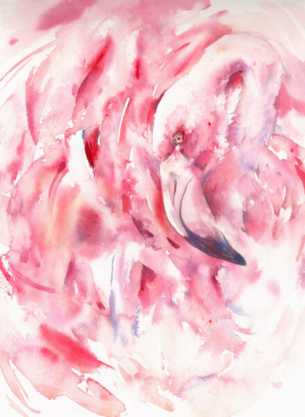 Papier peint Flamant rose abstrait