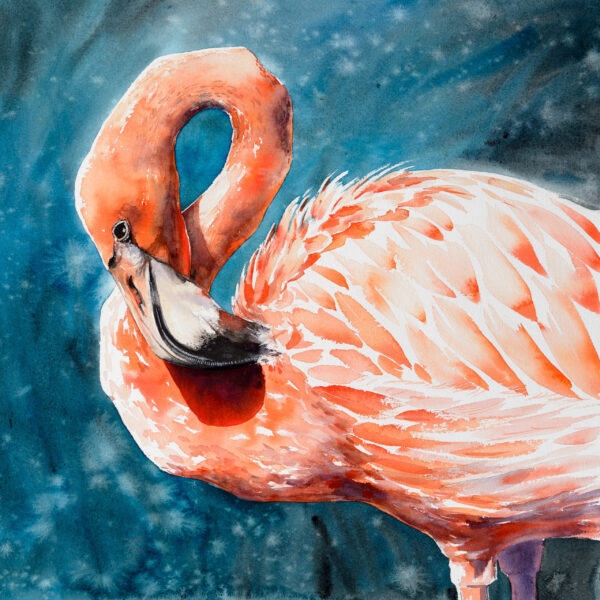 Papier peint Flamant rose turquoise