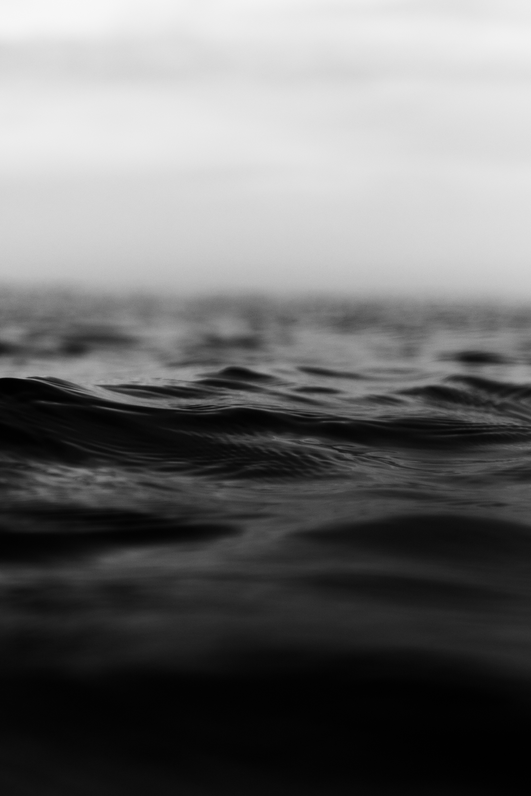 F3363513050-1-scaled