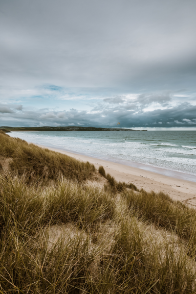 Papier peint Dunes du bord de mer