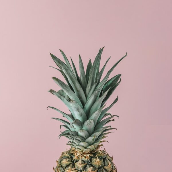 Papier peint Ananas sur fond rose