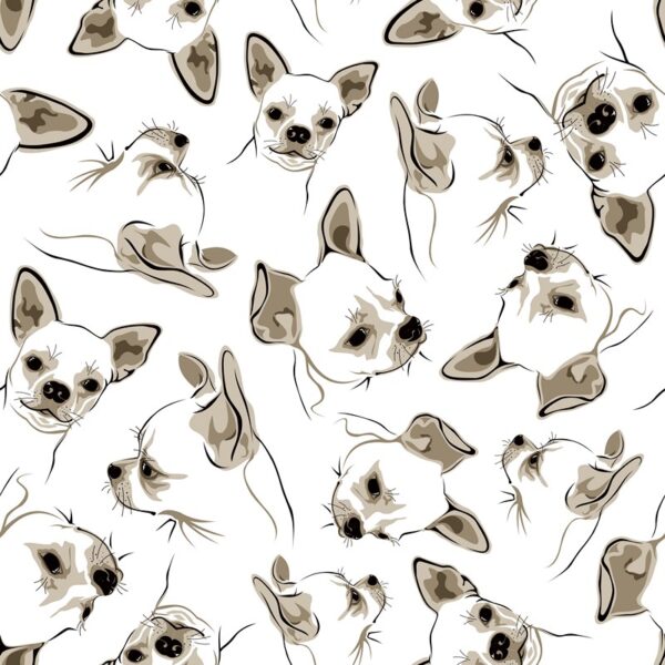 Papier peint Motif Chihuahua