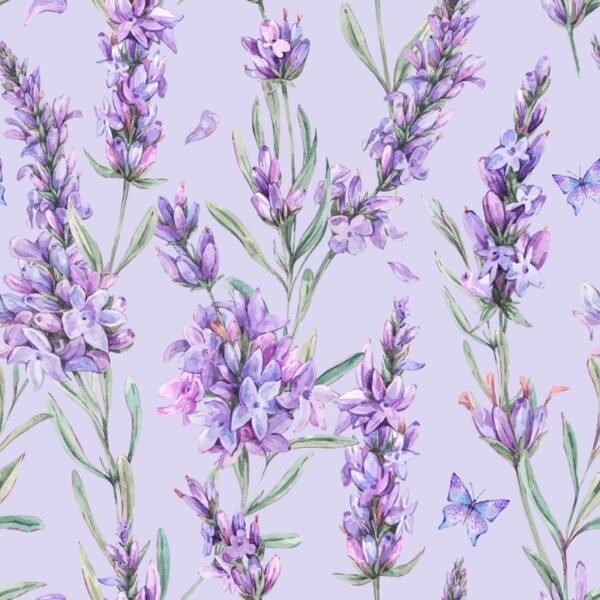 Papier peint Sans papillons