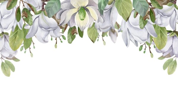 Papier peint Magnolias sur fond blanc