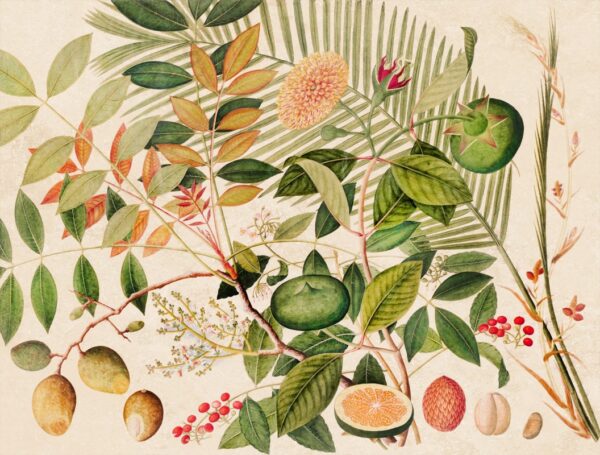 Papier peint Fruits du jardin d'Éden
