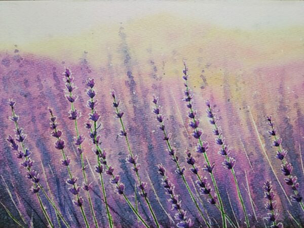 Papier peint Lavande de Provence