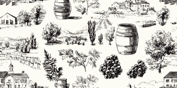Papier peint Croquis de vignoble