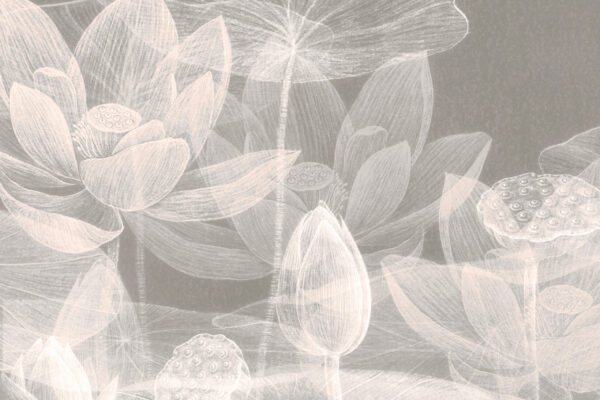 Papier peint Fleurs aux rayons X