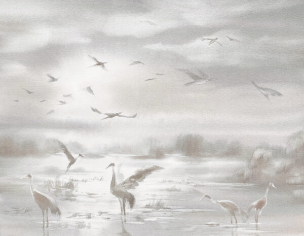 Papier peint Oiseaux au-dessus des eaux stagnantes
